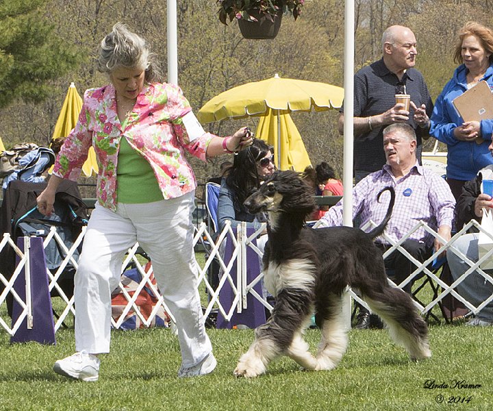 Arwen Breeders Cup 5-3-2014a.jpg - 163.12 K